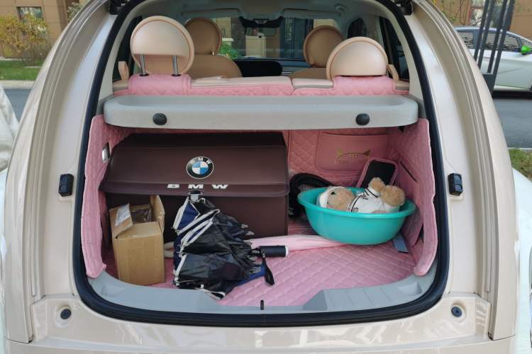 Used ORA Ballet Cat 2022 500 km Swan Lake Edition Trunk