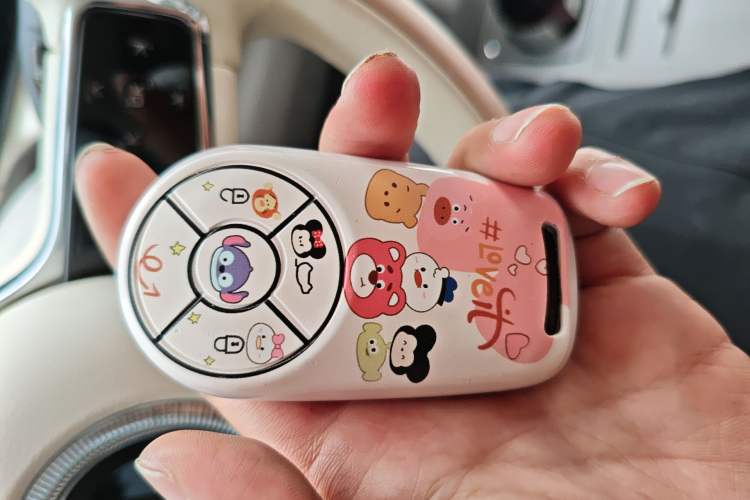 Used ORA Ballet Cat 2022 401 km Nutcracker Edition Vehicle Key