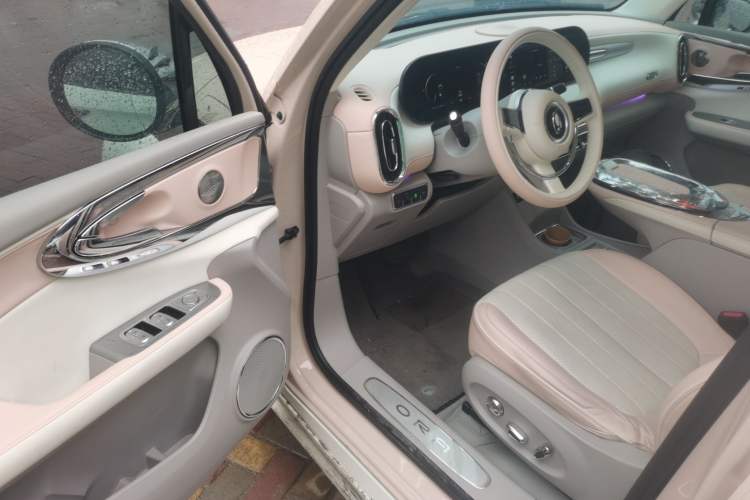 Used ORA Ballet Cat 2022 401 km Nutcracker Edition