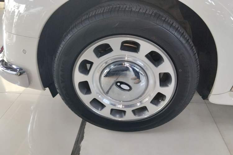 Used ORA Ballet Cat 2022 500 km Swan Lake Edition Exterior 4
