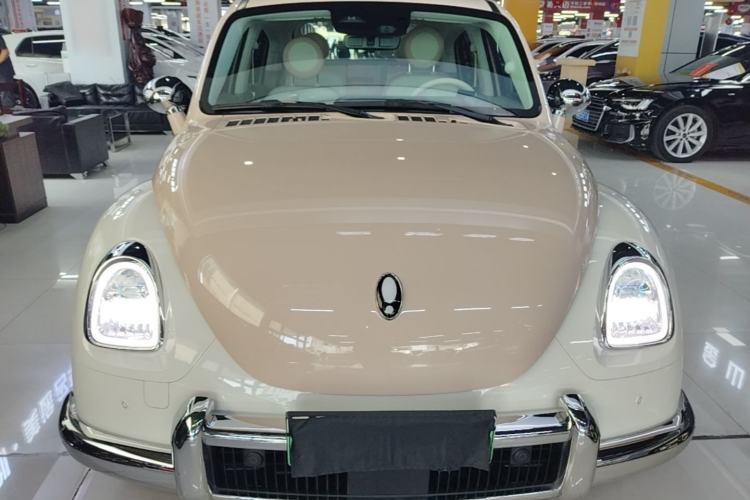 Used ORA Ballet Cat 2022 500 km Swan Lake Edition Front