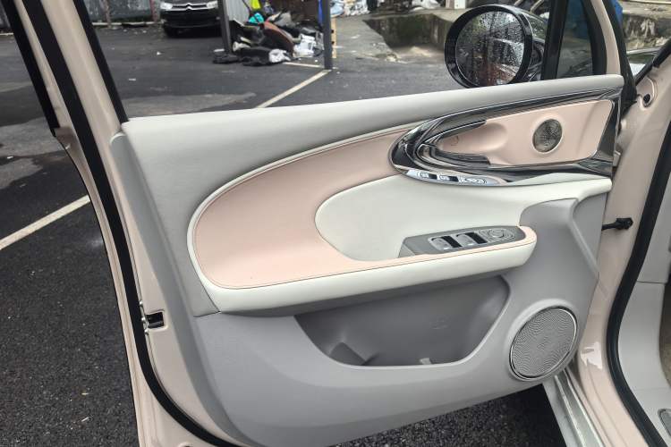 Used ORA Ballet Cat 2022 401 km Nutcracker Edition Interior 7
