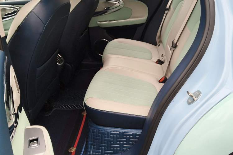 Used ORA Ballet Cat 2022 401 km Nutcracker Edition Left Rear Seat