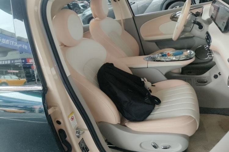 Used ORA Ballet Cat 2022 401 km Nutcracker Edition Right Front Seat