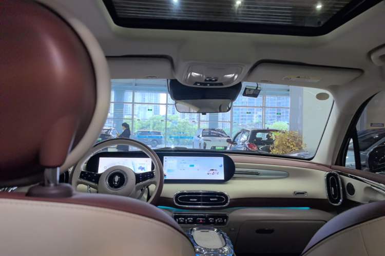 Used ORA Ballet Cat 2022 401 km Alice Edition Headliner