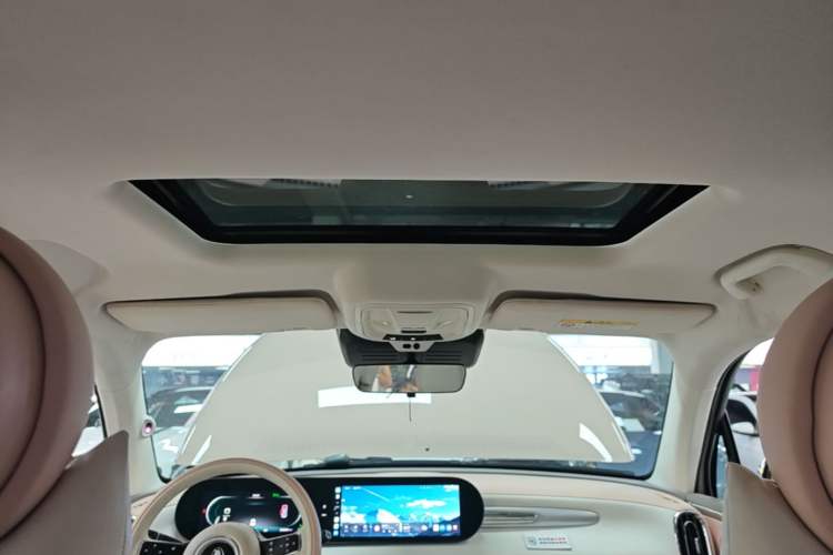 Used ORA Ballet Cat 2022 401 km Nutcracker Edition Headliner