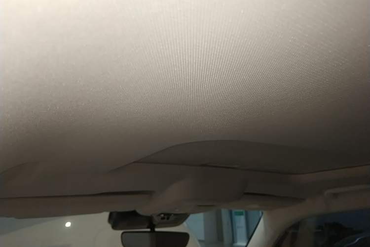 Used ORA Ballet Cat 2022 401 km Nutcracker Edition Headliner