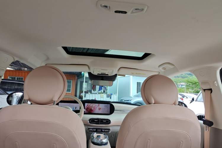 Used ORA Ballet Cat 2022 401 km Alice Edition Headliner