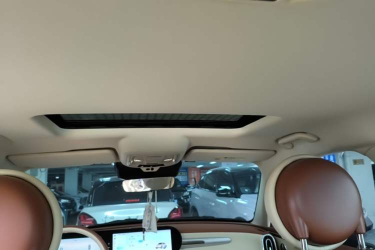 Used ORA Ballet Cat 2022 401 km Nutcracker Edition Headliner