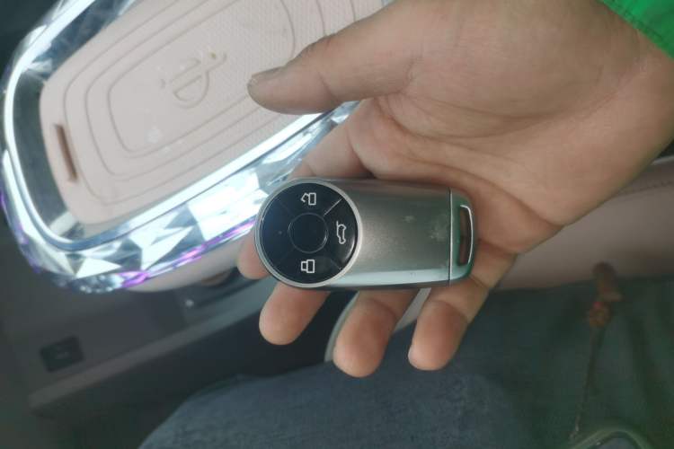 Used ORA Ballet Cat 2022 401 km Nutcracker Edition