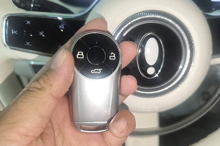 Used ORA Ballet Cat 2022 401 km Nutcracker Edition Interior 1