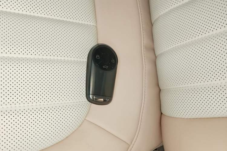 Used ORA Ballet Cat 2022 500 km Swan Lake Edition Interior 1