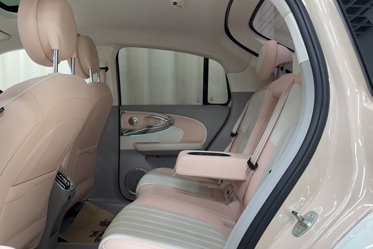 Used ORA Ballet Cat 2022 500 km Swan Lake Edition Interior 2