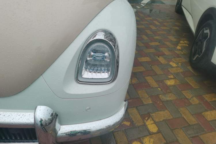 Used ORA Ballet Cat 2022 401 km Nutcracker Edition