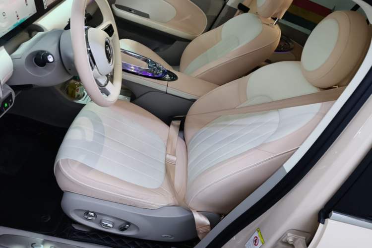 Used ORA Ballet Cat 2022 401 km Nutcracker Edition Left Front Seat