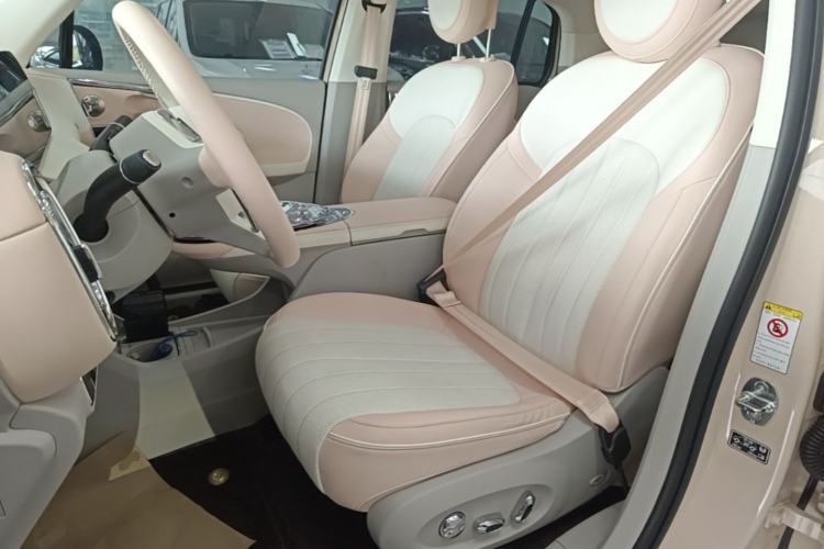 Used ORA Ballet Cat 2022 401 km Nutcracker Edition Left Front Seat