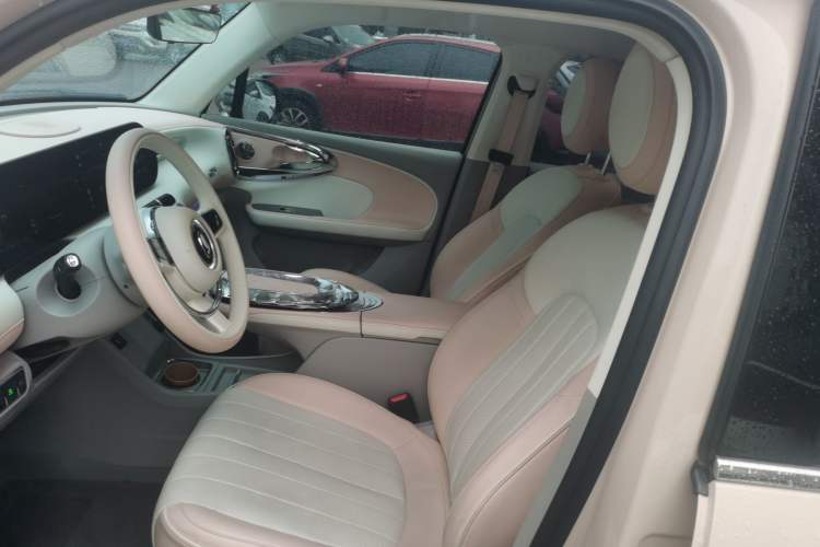 Used ORA Ballet Cat 2022 401 km Nutcracker Edition