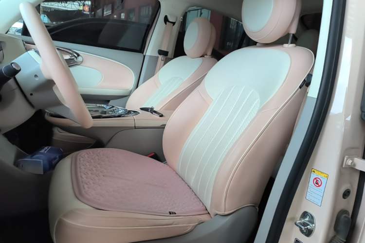 Used ORA Ballet Cat 2022 401 km Nutcracker Edition Left Front Seat