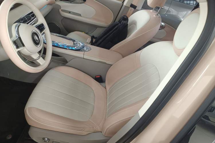 Used ORA Ballet Cat 2022 401 km Nutcracker Edition Left Front Seat