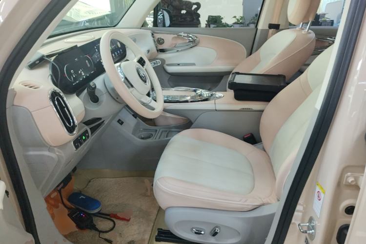 Used ORA Ballet Cat 2022 500 km Swan Lake Edition Left Front Seat