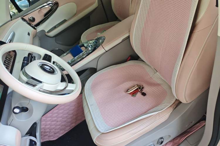 Used ORA Ballet Cat 2022 401 km Nutcracker Edition Left Front Seat