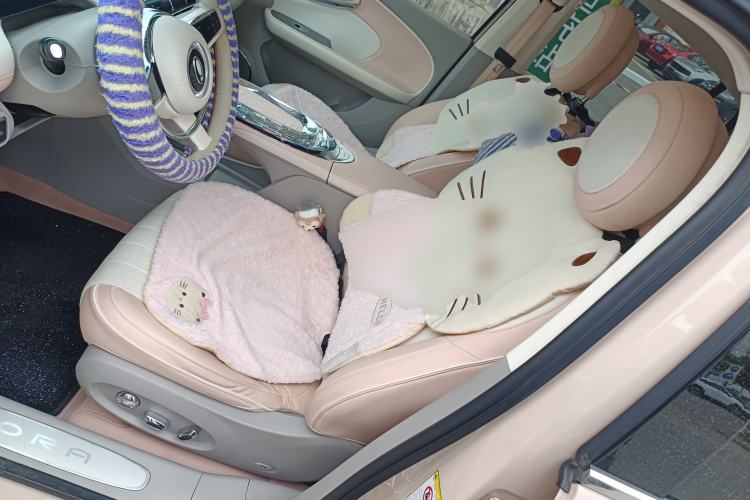 Used ORA Ballet Cat 2022 401 km Nutcracker Edition Left Front Seat