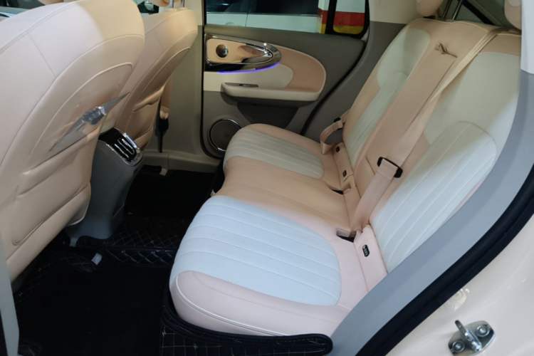 Used ORA Ballet Cat 2022 401 km Nutcracker Edition Left Rear Seat