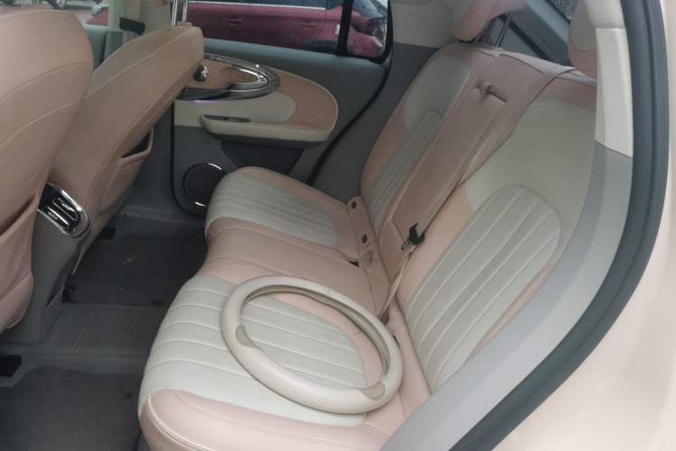 Used ORA Ballet Cat 2022 401 km Nutcracker Edition