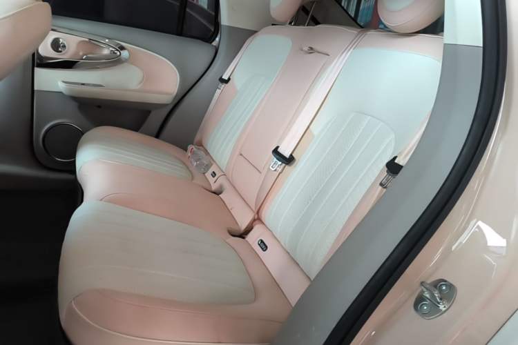 Used ORA Ballet Cat 2022 401 km Nutcracker Edition Left Rear Seat