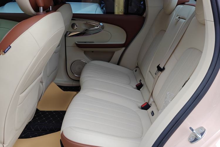 Used ORA Ballet Cat 2022 401 km Nutcracker Edition Left Rear Seat