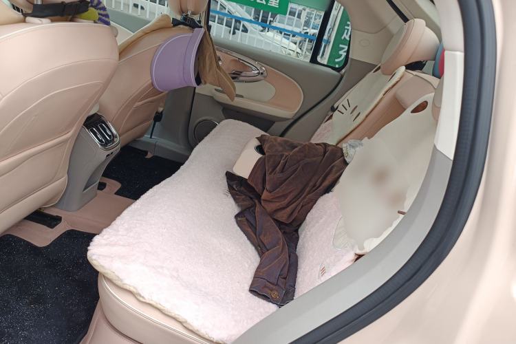 Used ORA Ballet Cat 2022 401 km Nutcracker Edition Left Rear Seat