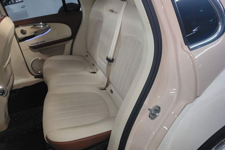 Used ORA Ballet Cat 2022 401 km Nutcracker Edition Left Rear Seat