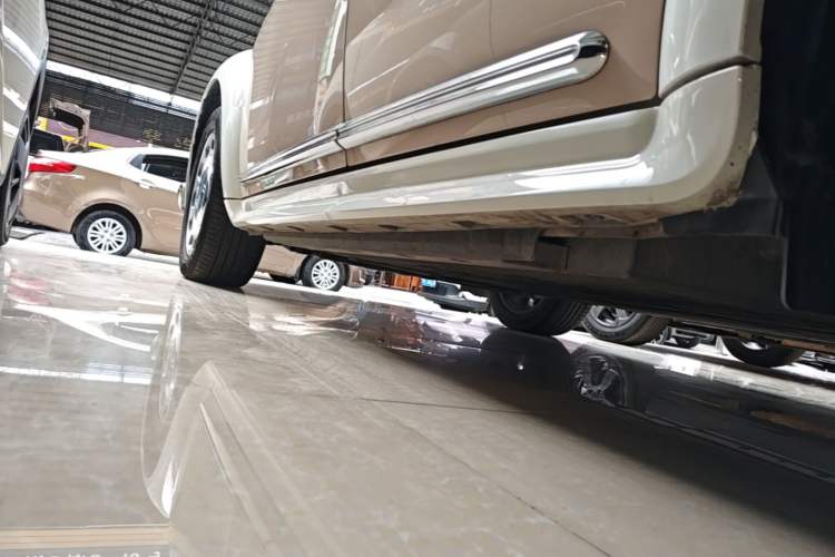 Used ORA Ballet Cat 2022 401 km Nutcracker Edition Left Side Sill