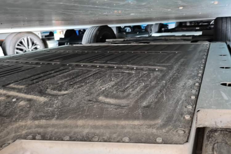 Used ORA Ballet Cat 2022 401 km Nutcracker Edition Left Side Sill
