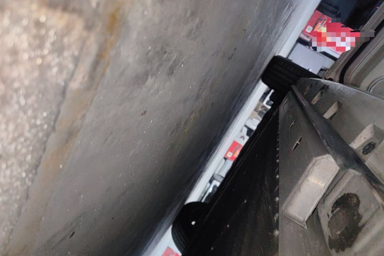 Used ORA Ballet Cat 2022 401 km Nutcracker Edition Left Side Sill