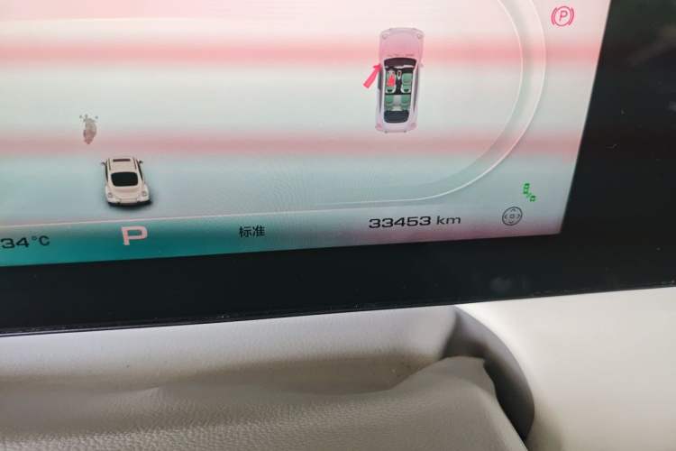 Used ORA Ballet Cat 2022 401 km Nutcracker Edition Odometer Close Up