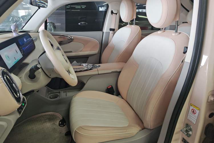 Used ORA Ballet Cat 2022 401 km Nutcracker Edition Left Front Seat