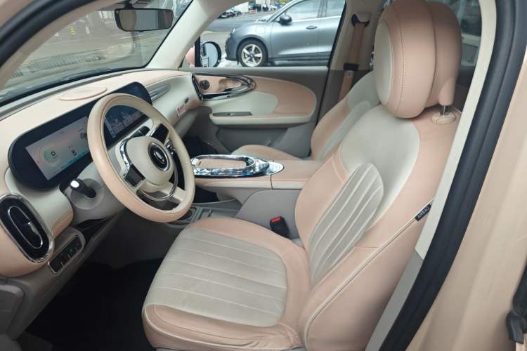 Used ORA Ballet Cat 2022 401 km Nutcracker Edition Left Front Seat
