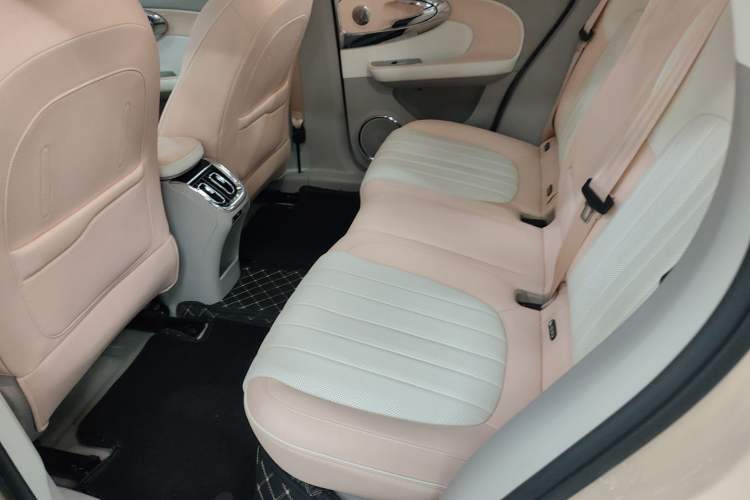 Used ORA Ballet Cat 2022 401 km Nutcracker Edition Left Rear Seat