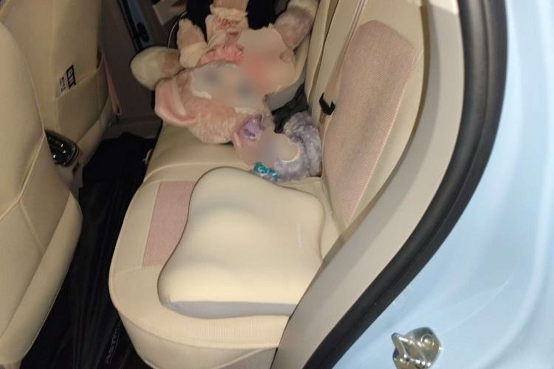 Used ORA Ballet Cat 2022 401 km Nutcracker Edition Left Rear Seat