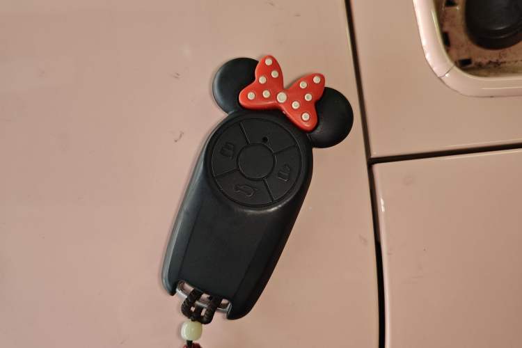 Used ORA Ballet Cat 2022 401 km Nutcracker Edition Vehicle Key