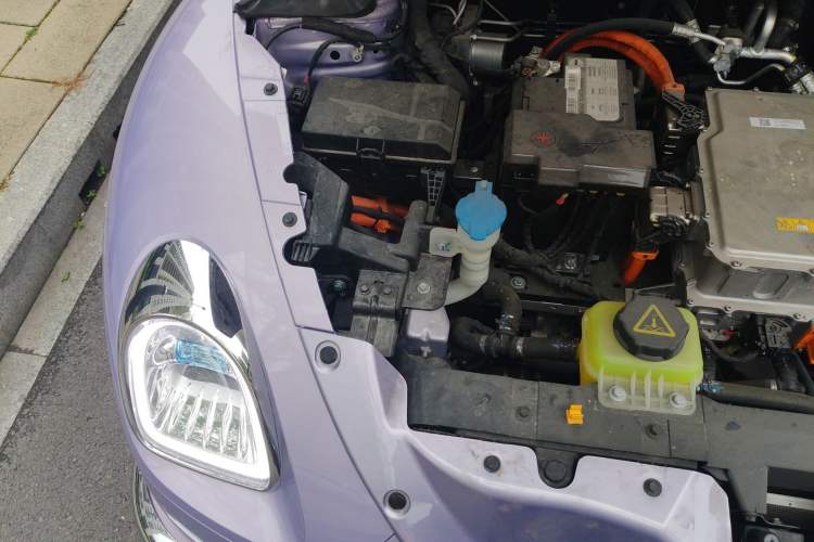 Used ORA Ballet Cat 2022 401 km Nutcracker Edition Engine Bay Right