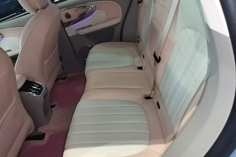 Used ORA Ballet Cat 2022 401 km Nutcracker Edition Left Rear Seat