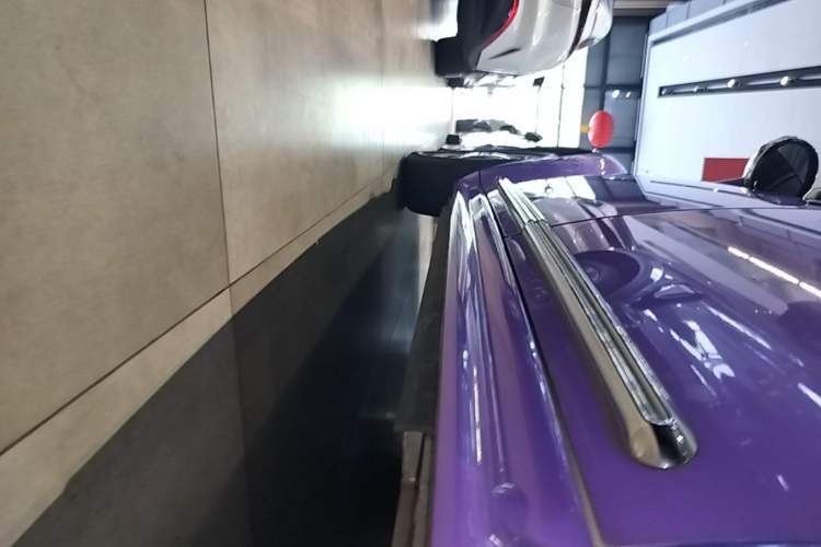 Used ORA Ballet Cat 2022 401 km Nutcracker Edition Left Side Sill