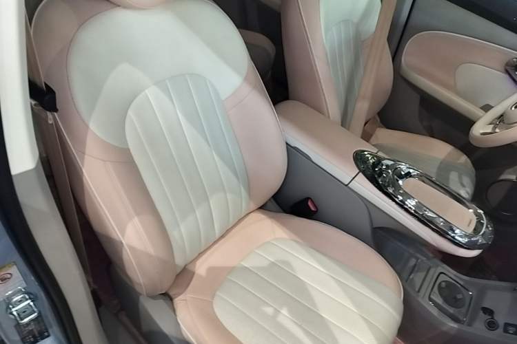 Used ORA Ballet Cat 2022 401 km Nutcracker Edition Right Front Seat