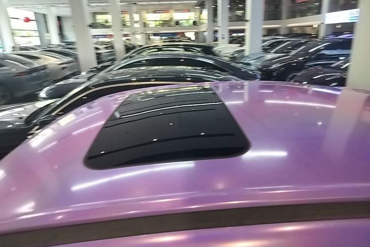 Used ORA Ballet Cat 2022 401 km Nutcracker Edition Roof