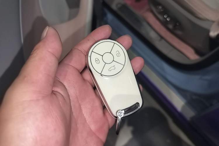 Used ORA Ballet Cat 2022 401 km Nutcracker Edition Vehicle Key