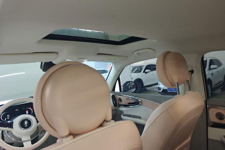 Used ORA Ballet Cat 2022 401 km Nutcracker Edition Headliner