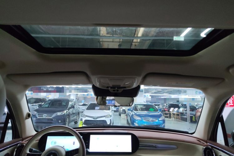Used ORA Ballet Cat 2022 401 km Nutcracker Edition Headliner