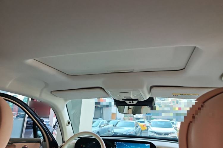 Used ORA Ballet Cat 2022 401 km Nutcracker Edition Headliner